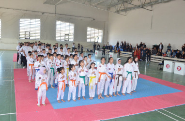 Pirallahı rayonunda Daydo-Juku Karate (KUDO) üzrə  Azərbaycan çempionatı keçirildi