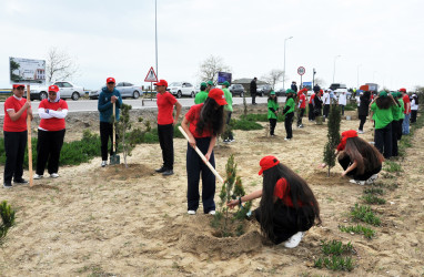 Pirallahı rayonunda “Şəhərsalma və Memarlıq İli” çərçivəsində  ağacəkmə aksiyası və “Heydər Əliyevin Azərbaycan memarlığında izi” başlıqlı elmi-praktik konfrans keçirilib