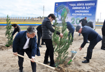 Pirallahıda "Yaşıl dünya naminə həmrəylik İli" çərçivəsində genişmiqyaslı ağacəkmə aksiyası və iməcilik təşkil olunmuşdur