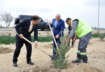 Pirallahı rayonunda “Yaponiya–Azərbaycan uşaqlarının gözü ilə” adlı tədbir keçirilib