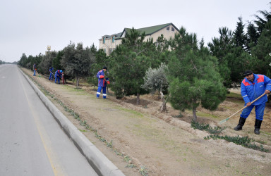 “Yeni ilə təmiz şəhərlə” devizi  ilə iməcilik aksiyası keçirildi