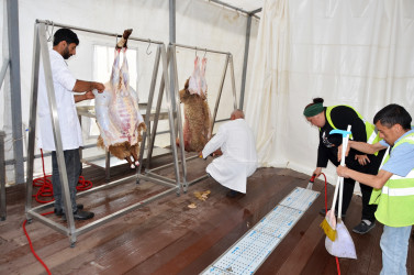 Qurban Bayramı Bakı Şəhəri Pirallahı rayonunda da  təşkil olunmuşdur