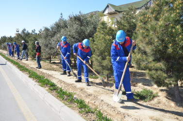 Pirallahıda növbəti ümumrayon iməciliyi keçirilib