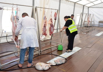 Qurban Bayramı Bakı Şəhəri Pirallahı rayonunda da  təşkil olunmuşdur