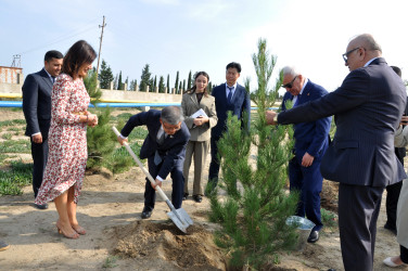 Koreya Respublikasının səfiri və nümayəndə heyəti Pirallahı rayonunda səfərdə olub