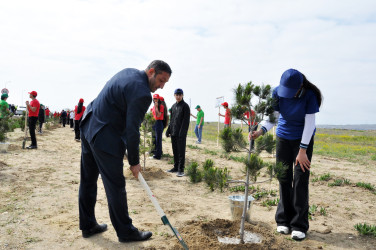 Pirallahı rayonunda “Şəhərsalma və Memarlıq İli” çərçivəsində  ağacəkmə aksiyası və “Heydər Əliyevin Azərbaycan memarlığında izi” başlıqlı elmi-praktik konfrans keçirilib