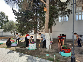 Pirallahı rayonunda növbəti iməcilik keçirildi