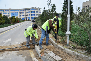 Pirallahı rayonunda  “Şəhərsalma  və Memarlıq İli” ilə əlaqədar abadlıq-quruculuq işləri davam etdirilir