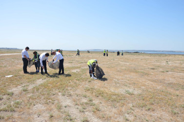 Xəzər dənizinin Pirallahı sahilində növbəti  iməcilik aksiyası keçirildi