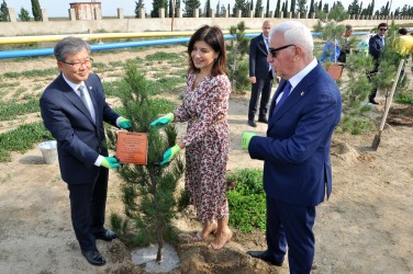 Koreya Respublikasının səfiri və nümayəndə heyəti Pirallahı rayonunda səfərdə olub