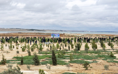 Pirallahı rayonunda “Yaşıl bir dünya üçün həmrəy olaq!” şüarı altında silsilə tədbirlər davam edir