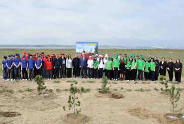Pirallahı rayonunda “Şəhərsalma və Memarlıq İli” çərçivəsində  ağacəkmə aksiyası və “Heydər Əliyevin Azərbaycan memarlığında izi” başlıqlı elmi-praktik konfrans keçirilib