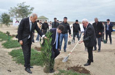 Pirallahı rayonunda “27 sentyabr-Anım günü” ilə bağlı silsilə tədbirlər keçirildi