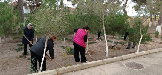 Pirallahıda "Yaşıl dünya naminə həmrəylik İli" çərçivəsində genişmiqyaslı ağacəkmə aksiyası və iməcilik təşkil olunmuşdur