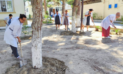 Pirallahı rayonunda genişmiqyaslı iməcilik aksiyası keçirildi