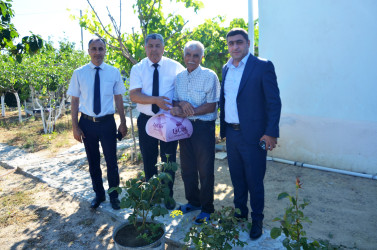 Pirallahı rayonunda yaşlı nəslin nümayəndələri diqqət və qayğı ilə əhatə olunurlar