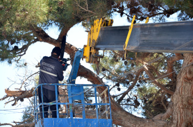 Pirallahı rayonunda növbəti iməcilik aksiyası keçirildi