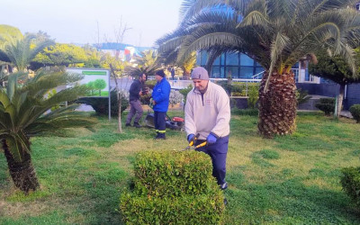 Pirallahı rayonunda iməcilik aksiyası keçirildi