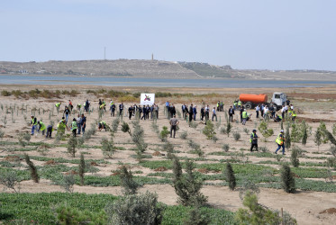 Pirallahı rayonunda “27 sentyabr-Anım günü”nə və 44 günlük Vətən müharibəsi şəhidlərinin əziz xatirəsinə həsr olunmuş rəsmi anım tədbiri keçirilmişdir