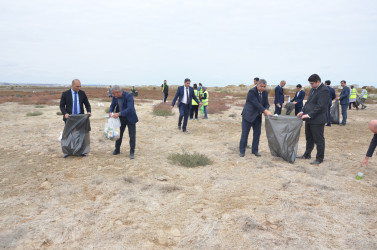 "Yaşıl dünya naminə həmrəylik İli" çərçivəsində  genişmiqyaslı ağacəkmə aksiyası və dəniz sahilində iməcilik təşkil olunmuşdur