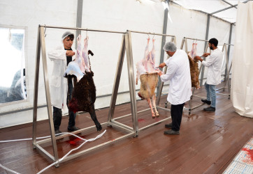 Qurban Bayramı Bakı Şəhəri Pirallahı rayonunda da  təşkil olunmuşdur