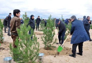 Pirallahı rayonunda “Yaşıl bir dünya üçün həmrəy olaq!” şüarı altında silsilə tədbirlər davam edir