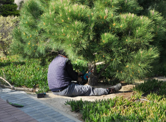 Pirallahı rayonunda növbəti iməcilik aksiyası keçirildi