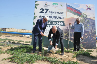 “27 Sentyabr – Anım Günü”nə həsr olunmuş ağacəkmə aksiyası keçirilib