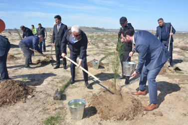 “Yaşıl dünya naminə həmrəylik ili” çərçivəsində ağacəkmə aksiyası və “Azərbaycan: Dünyanın “yaşıl enerji” mərkəzi” başlıqlı konfrans keçirilmişdir