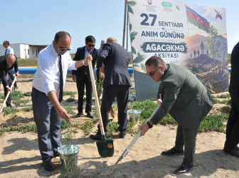 “27 Sentyabr – Anım Günü”nə həsr olunmuş ağacəkmə aksiyası keçirilib