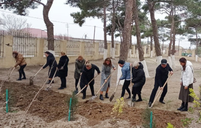 “Yeni ilə təmiz şəhərlə” devizi  ilə iməcilik aksiyası keçirildi