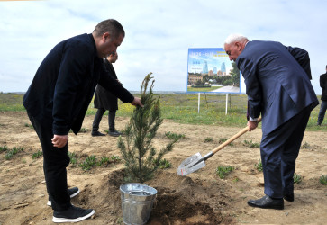 Pirallahı rayonunda “Şəhərsalma və Memarlıq İli” çərçivəsində  ağacəkmə aksiyası və “Heydər Əliyevin Azərbaycan memarlığında izi” başlıqlı elmi-praktik konfrans keçirilib