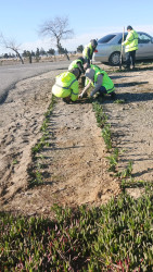 Pirallahı rayonunda  “Şəhərsalma  və Memarlıq İli” ilə əlaqədar abadlıq-quruculuq işləri davam etdirilir