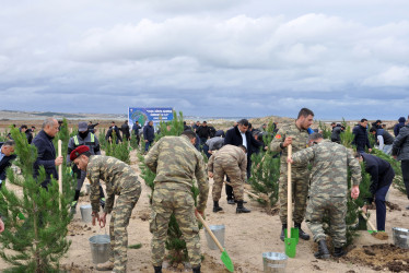 Pirallahı rayonunda “Yaşıl bir dünya üçün həmrəy olaq!” şüarı altında silsilə tədbirlər davam edir