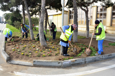 Pirallahı rayonunda iməcilik aksiyası keçirildi