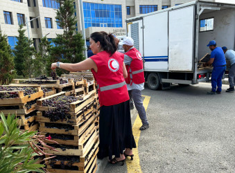 Qızıl Aypara Cəmiyyətinin Pirallahı rayon bölməsi tərəfindən növbəti humanist aksiya keçirildi