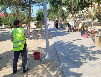 Pirallahı rayonunda növbəti iməcilik aksiyası keçirildi