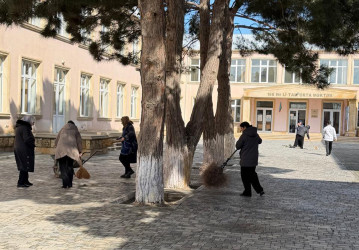 Pirallahı rayonunda iməcilik aksiyası keçirildi
