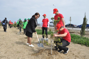 Pirallahı rayonunda “Şəhərsalma və Memarlıq İli” çərçivəsində  ağacəkmə aksiyası və “Heydər Əliyevin Azərbaycan memarlığında izi” başlıqlı elmi-praktik konfrans keçirilib
