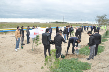 Pirallahı rayonunda “27 sentyabr-Anım günü” ilə bağlı silsilə tədbirlər keçirildi