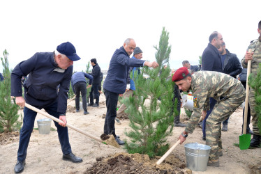 Pirallahı rayonunda “Yaşıl bir dünya üçün həmrəy olaq!” şüarı altında silsilə tədbirlər davam edir