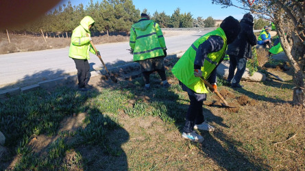Pirallahı rayonunda  “Şəhərsalma  və Memarlıq İli” ilə əlaqədar abadlıq-quruculuq işləri davam etdirilir