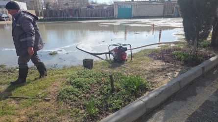 Pirallahı rayonunda iməcilik aksiyası keçirildi