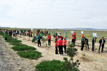 Pirallahı rayonunda “Şəhərsalma və Memarlıq İli” çərçivəsində  ağacəkmə aksiyası və “Heydər Əliyevin Azərbaycan memarlığında izi” başlıqlı elmi-praktik konfrans keçirilib
